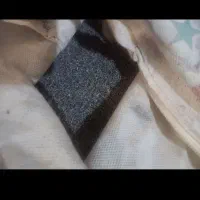 بذر عالی|گل و گیاه طبیعی|الیگودرز, |دیوار