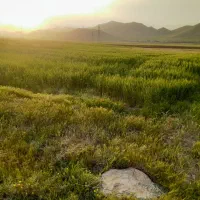 زمین ۱۰۰۰ متری خانه میران