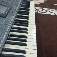 پیا تری 5 اکتاو|پیانو، کیبورد، آکاردئون|گرگان, |دیوار