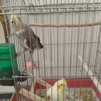 وسایل شخصی کودک