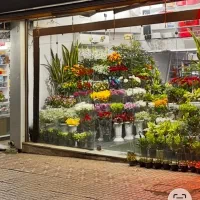 مغازه نبش اصلی