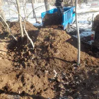 کود حیوانی|خدمات باغبانی و درختکاری|مشگین شهر, |دیوار