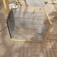 فروش تله گربه