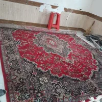 فرش ۱۲ متری|فرش|علیآباد کتول, |دیوار