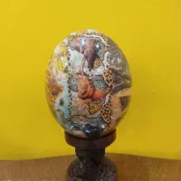 محصول تزیینی آفریقای جنوبی