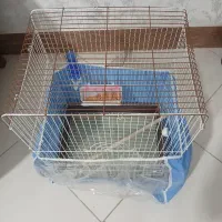 قفس پرنده