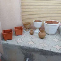 گلدان
