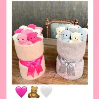 بوکت تدی|اسباب‌‌بازی|کرج, عظیمیه|دیوار