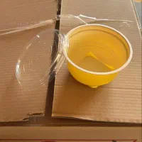 ظرف یکبار مصرف