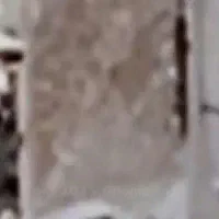 زمین کنار خیابان|فروش زمین و ملک کلنگی|فولادشهر, زاینده رود|دیوار