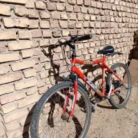 دوچرخه سالم|دوچرخه، اسکیت، اسکوتر|فردوس (خراسان), |دیوار