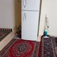 همخونه-خانم-شاغل-35تا45-سال