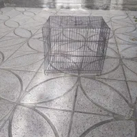 قفس پرنده