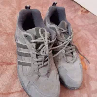 کفش مارک دار