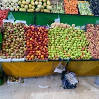 استخدام نیروی کار در میوه فروشی با حقوق بالا