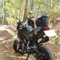 بنلی ۱۳۵ مینی