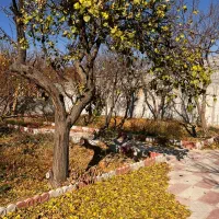 شهریارملارد-باغچه412متری-مدارک-قانونی