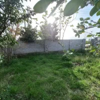 فروش زمین مسکونی در بابل بندپی غربی|فروش زمین و ملک کلنگی|خوشرودپی, |دیوار