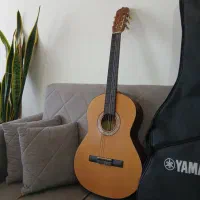 گیتار رنگ آجری با کاور