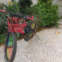 دوچرخه 20|دوچرخه، اسکیت، اسکوتر|بندر دیر, |دیوار