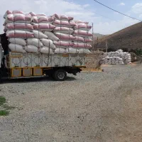 علوفه یونجه وکاه