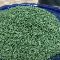 فروش انواع سبزیجات خشک ،نعناع خشک ،شوید خشک،قورمه|خوردنی و آشامیدنی|کرج, دهقان ویلا|دیوار