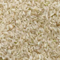 برنج فجر چمپا کامفیروزی