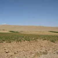 زیر-زمین-تجاری-اجاره-ای
