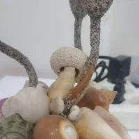 آباژورصدفی|چراغ خواب و آباژور|دورود, |دیوار