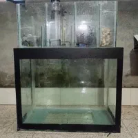 آکواریوم آب شور و شیرین