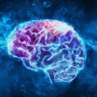 مشاوره فردی و تحصیلی