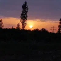 اجاره-زمین-کشاورزی-پایین-دشت