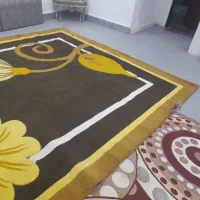 قالی( گلیم)|گلیم، جاجیم، گبه|شوشتر, |دیوار