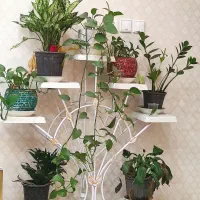 استند گل و گلدون فلزی