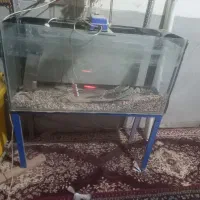 یک عدد آکواریوم باتمام مخلفات بفروش می رسد