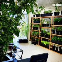 جذب مشاور خانم و آقا در پردیس پارک