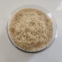 برنج کامفیروزی درجه یک|خوردنی و آشامیدنی|صدرا-فارس, فاز ۱|دیوار