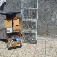 قفس. قفس پرنده