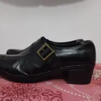 کفش|کیف، کفش، کمربند|شیراز, گویم|دیوار