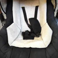 کریر نوزاد|کالسکه و لوازم جانبی|شیراز, لب آب|دیوار