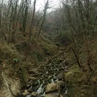 تور گردشگری