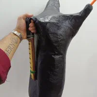 فروش نی انبان نو