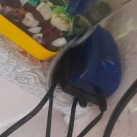 آکواریم معاوز با پرنده|ماهی|قم, شهرک فاطمیه|دیوار