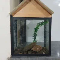 اکواریوم|ماهی|دیواندره, |دیوار