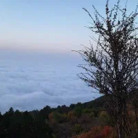 زمین تجاری بلوار شهید قندی صفاییه