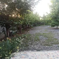 خانه ویلایی|فروش خانه و ویلا|تولم شهر, |دیوار