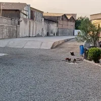 اجاره انبار روباز|اجارهٔ دفتر صنعتی، کشاورزی، تجاری|تهران, علی‌آباد|دیوار