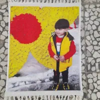 خاطره هاتون رو ب تابلو فرش تبدیل کنید|تابلو فرش|سقز, |دیوار