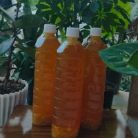 شربت رفع گرفتگی قلب عروق تضمینی