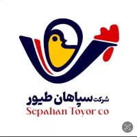 خانم حسابدار آشنا با نرم افزار حسابداری شایگان